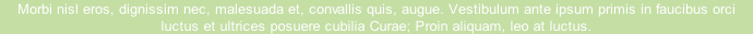 Morbi nisl eros, dignissim nec, malesuada et, convallis quis, augue. Vestibulum ante ipsum primis in faucibus orci luctus et ultrices posuere cubilia Curae; Proin aliquam, leo at luctus.